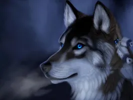 Wolf Ranks- .:Fallen Glory:. Wolf Ranks- .:Fallen Glory:.