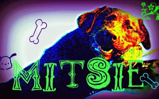 How Well Do You Know Dogs How Well Do You Know Dogs