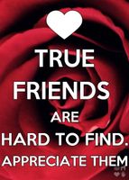 Which one of my friends are you? Which one of my friends are you?