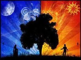 What Time Of The Day Person Are You? What Time Of The Day Person Are You?