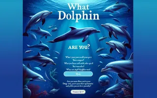 What Dolphin Are You?
