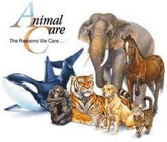 What type of animal are you? (1) What type of animal are you? (1)