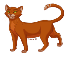 Which of My Warrior Cats Are YOU? Which of My Warrior Cats Are YOU?