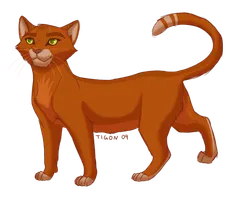 Which of My Warrior Cats Are YOU? Which of My Warrior Cats Are YOU?