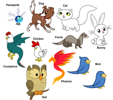 wich animal are you