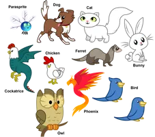 wich animal are you