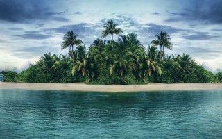 The curse of the island - Would you survive? The curse of the island - Would you survive?