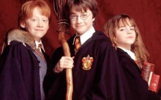 Who are you: Harry, Ron or Hermoine? Who are you: Harry, Ron or Hermoine?