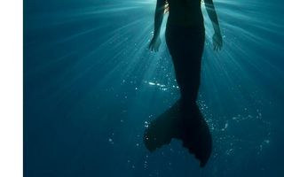 what kind mermaid are you what kind mermaid are you