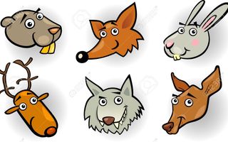 Animal Personality Quiz-wildthing Animal Personality Quiz-wildthing