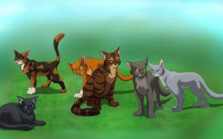 What type of roll would you have in a clan? What type of roll would you have in a clan?