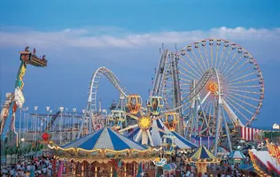 What amusement park ride is best for you? What amusement park ride is best for you?