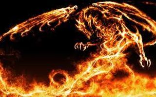 What's your dragon type? What's your dragon type?