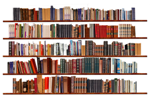 Explore Your Bookshelf Explore Your Bookshelf