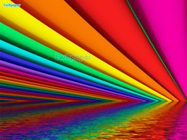 What type of color are you? What type of color are you?