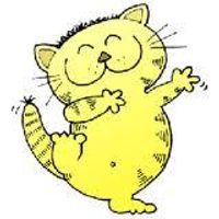 Cat or Kitten Cat or Kitten