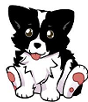 What do you know about BORDER COLLIES? What do you know about BORDER COLLIES?