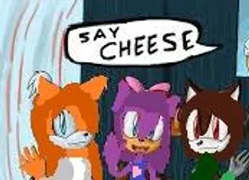 what do my oc of sonic think of you what do my oc of sonic think of you
