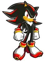 Will Shadow date you quiz