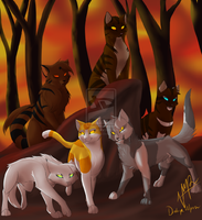 Do the Dark Forest cats like you? Do the Dark Forest cats like you?