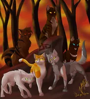 Do the Dark Forest cats like you? Do the Dark Forest cats like you?