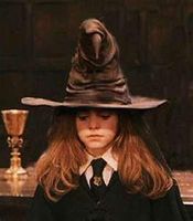 Harry Potter Sorting hat! Harry Potter Sorting hat!