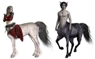 Which Centaur Are You? Which Centaur Are You?