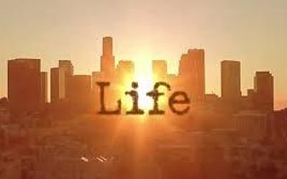 Your Life Quiz - Try The Expert / Accurate Mode Your Life Quiz - Try The Expert / Accurate Mode