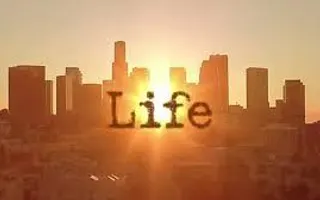 Your Life Quiz - Try The Expert / Accurate Mode Your Life Quiz - Try The Expert / Accurate Mode