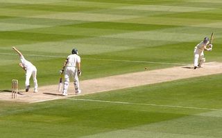 cricket cricket