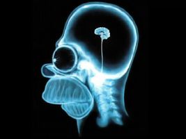random knowledge (1) random knowledge (1)