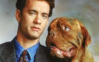 Turner & Hooch Turner & Hooch
