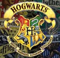 Which Hogwarts house would you be in? (2) Which Hogwarts house would you be in? (2)