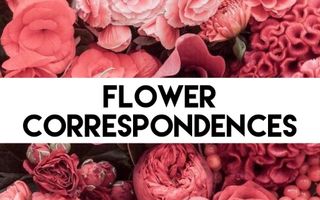 Flower Correspondences Flower Correspondences