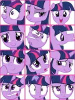 Twilight Sparkle Pop Quiz