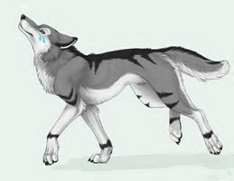 Would Silverstorm(my imaginary pet wolf) like you? Would Silverstorm(my imaginary pet wolf) like you?