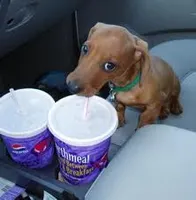 Are you thirsty? Are you thirsty?
