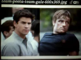 Gale or Peeta Gale or Peeta