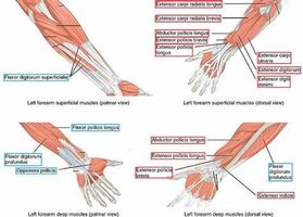 Peripheral Devices Quiz (1) Peripheral Devices Quiz (1)