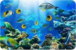 Discover Your Inner Marine Animal (2) Discover Your Inner Marine Animal (2)