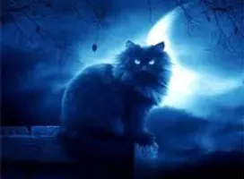 what is your inner warrior cat? what is your inner warrior cat?