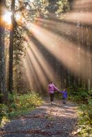 Which Parenting Style Are You? Which Parenting Style Are You?