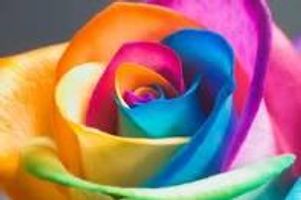 What is your Describing Color? What is your Describing Color?