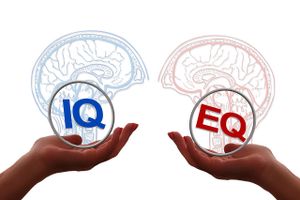 Emotional IQ Emotional IQ