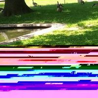 Do you know the colors of the rainbow? Do you know the colors of the rainbow?