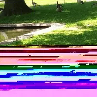 Do you know the colors of the rainbow? Do you know the colors of the rainbow?