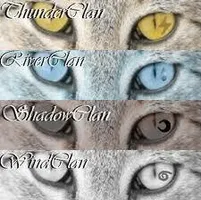 What Warrior Cats Clan Are You In? (1) What Warrior Cats Clan Are You In? (1)