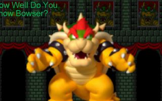 How Well Do You Know Bowser? How Well Do You Know Bowser?