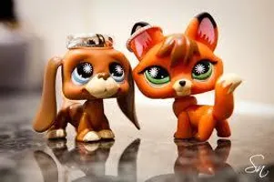 what animal are you? (14) what animal are you? (14)