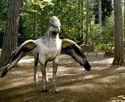 what color hippogriff are you? what color hippogriff are you?